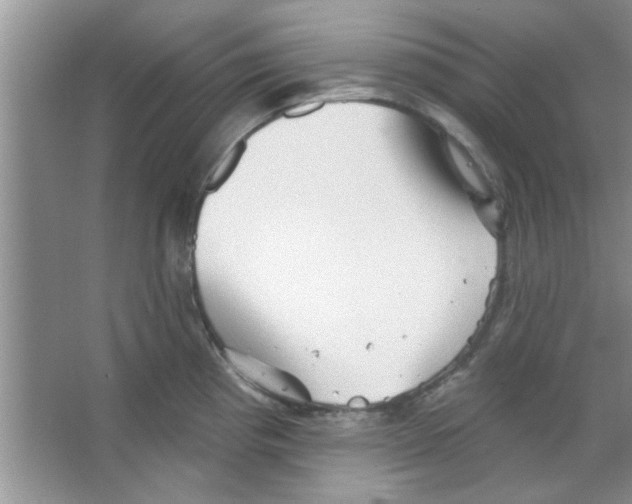 X0000065971193200603311830