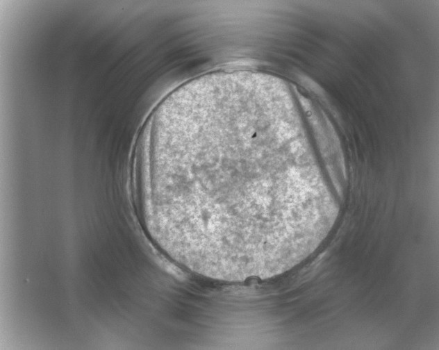 X0000065971194200603311830