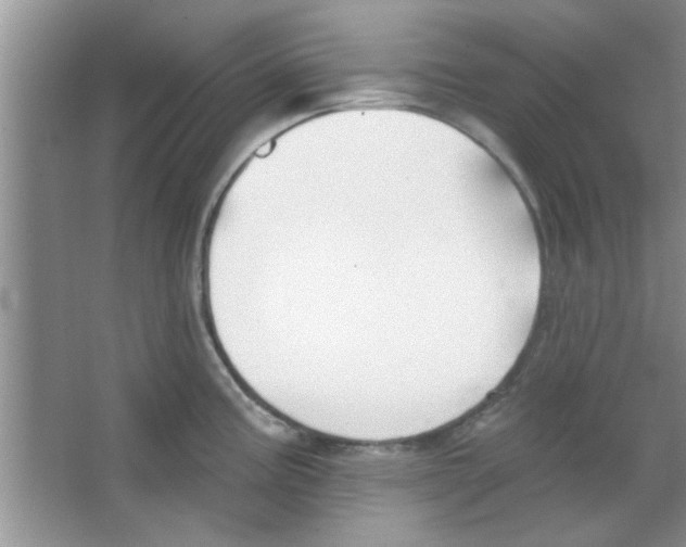 X0000065971195200603311830