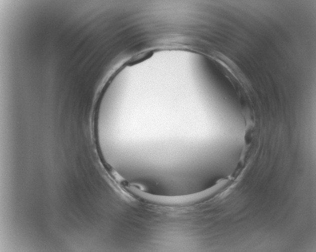 X0000065971196200603311830