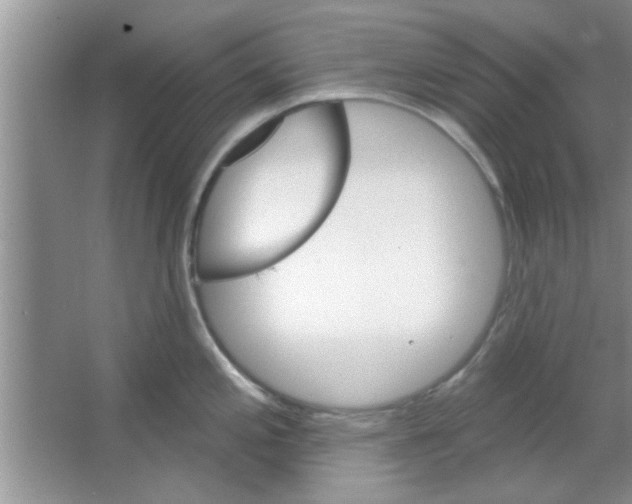 X0000065971197200603311830