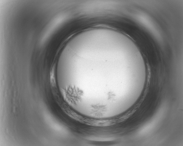 X0000065971198200603311830