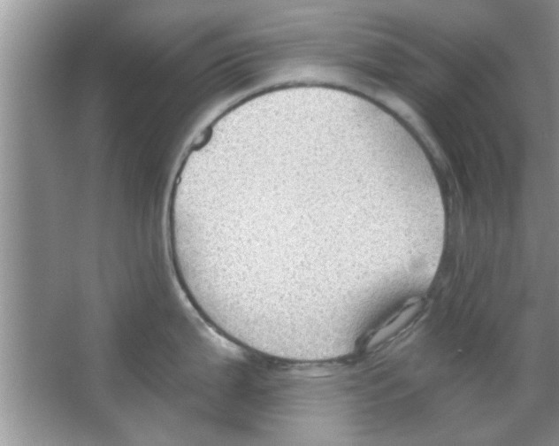 X0000065971199200603311830