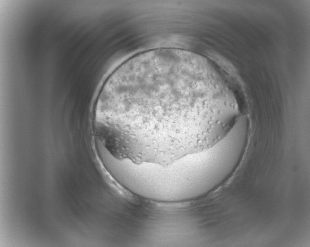 X0000065971200200603311830