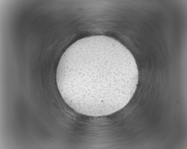 X0000065971201200603311829