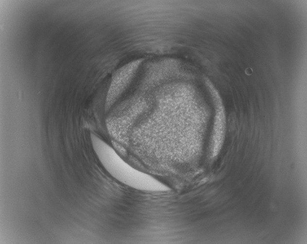 X0000065971202200603311829