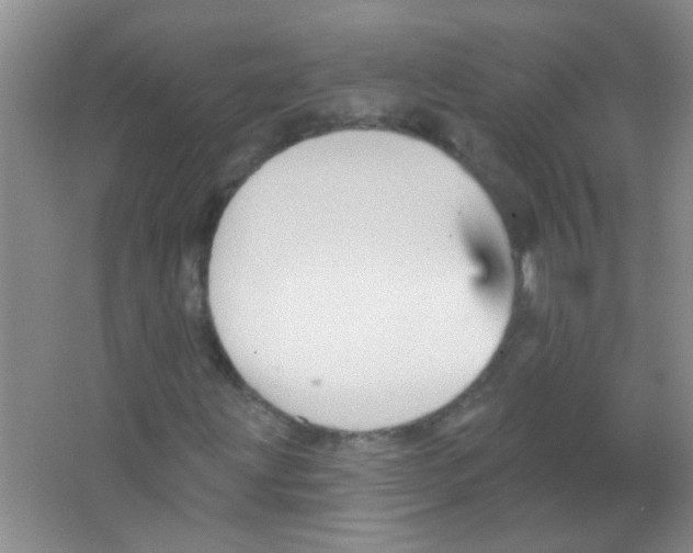 X0000065971203200603311830