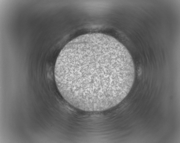 X0000065971204200603311830