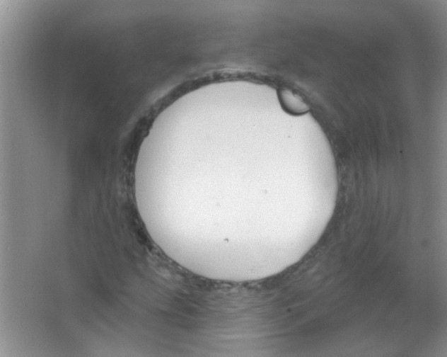 X0000065971207200603311830