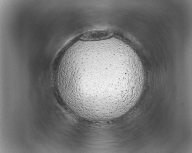 X0000065971208200603311830