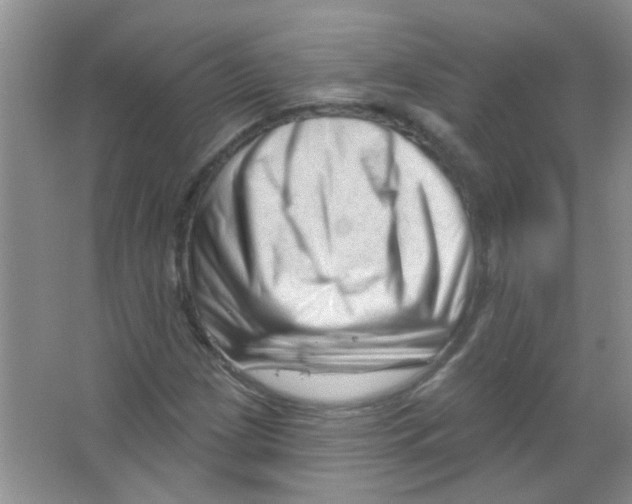 X0000065971209200603311830