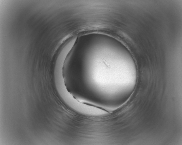 X0000065971210200603311830