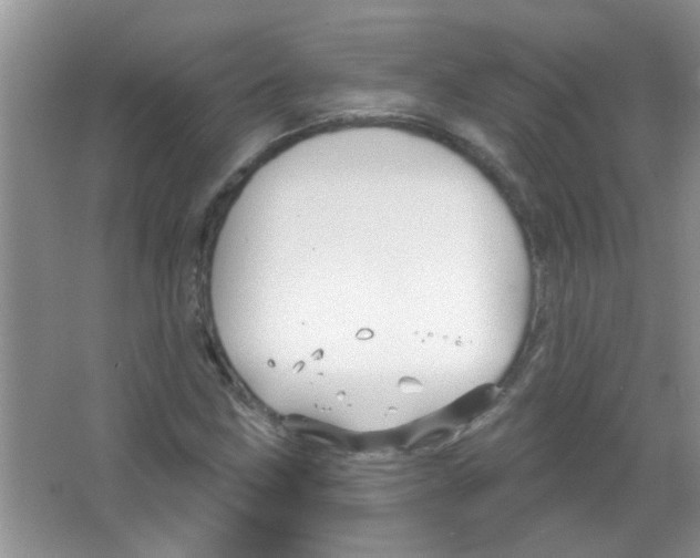 X0000065971211200603311830