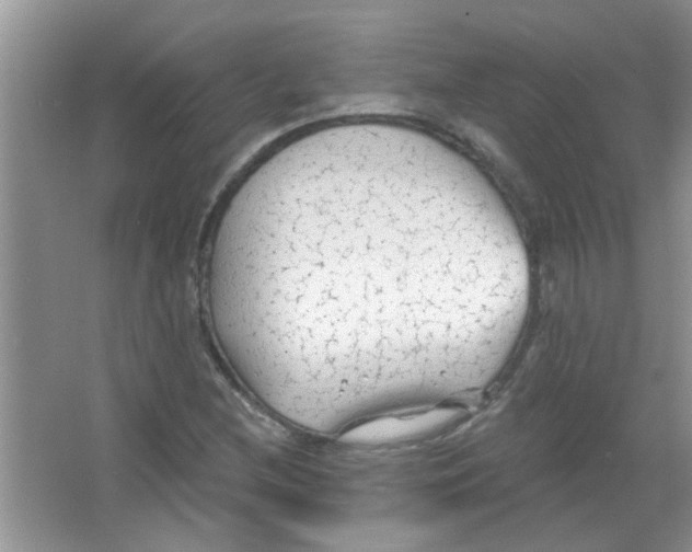 X0000065971212200603311830