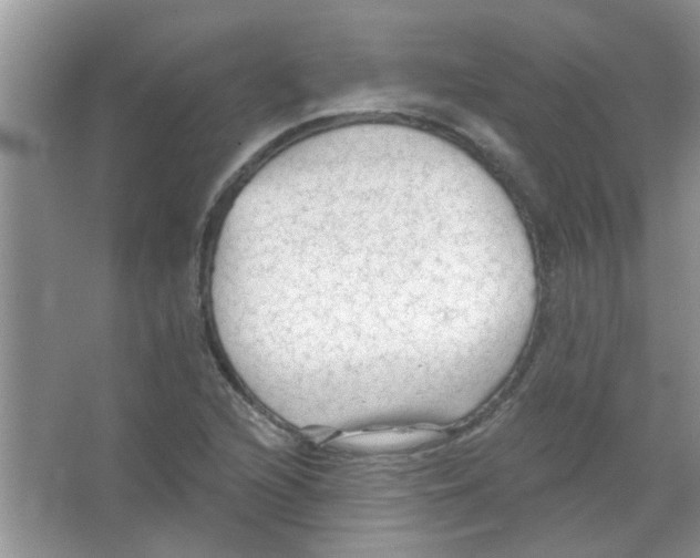 X0000065971216200603311830