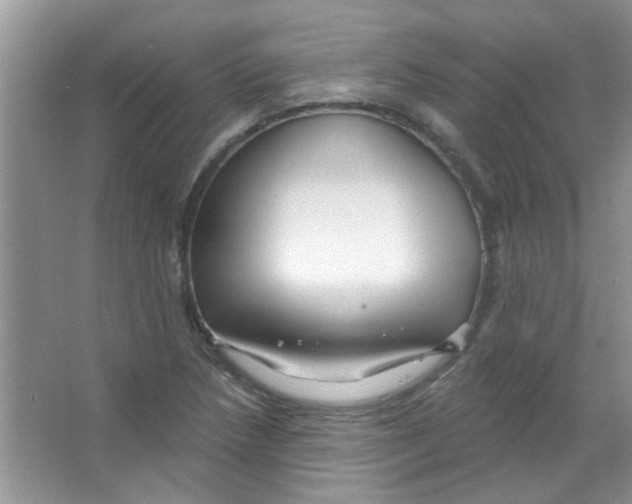 X0000065971218200603311830