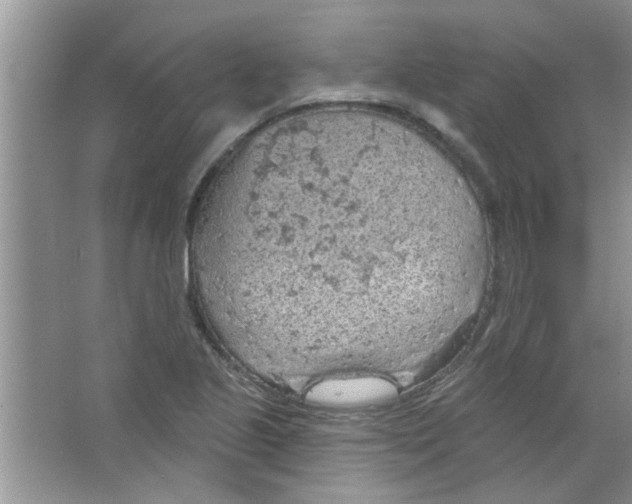 X0000065971221200603311830