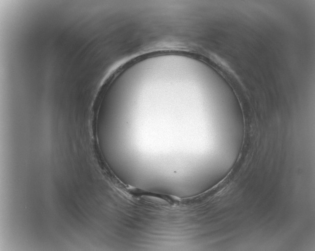 X0000065971222200603311830