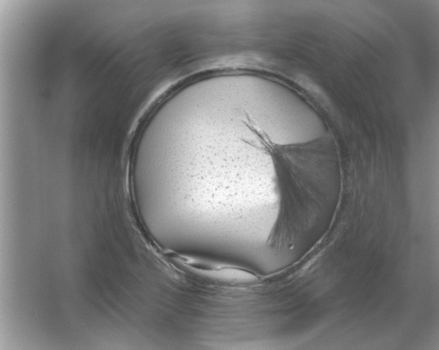 X0000065971224200603311830