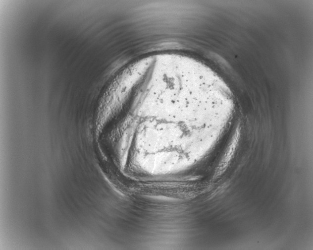 X0000065971225200603311830