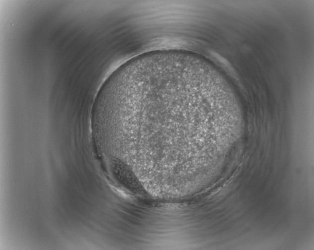 X0000065971226200603311830