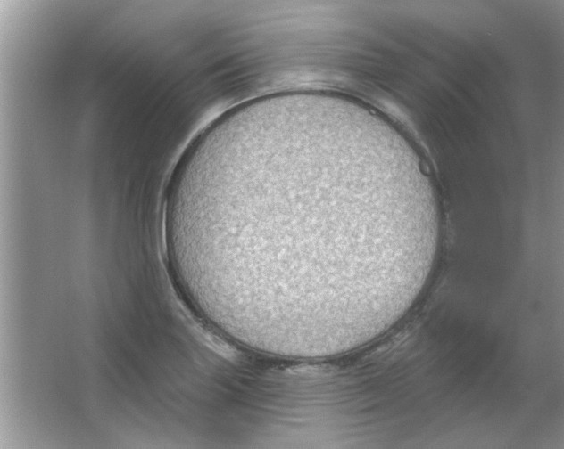 X0000065971227200603311830