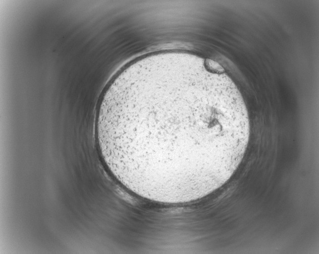 X0000065971228200603311830