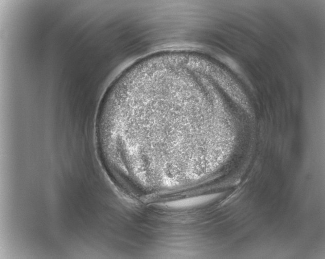 X0000065971229200603311830