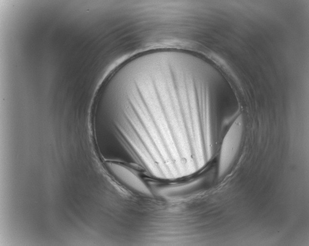 X0000065971230200603311830