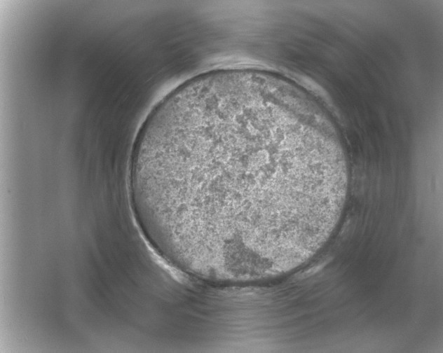 X0000065971231200603311830