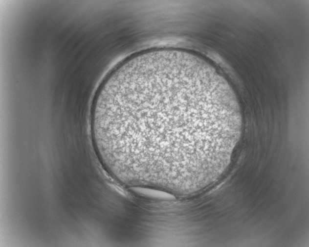 X0000065971232200603311830