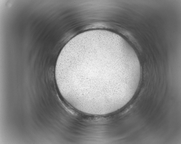 X0000065971233200603311830