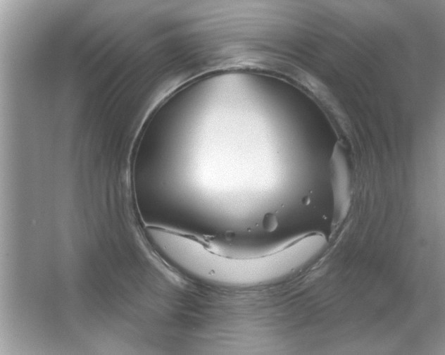 X0000065971234200603311830