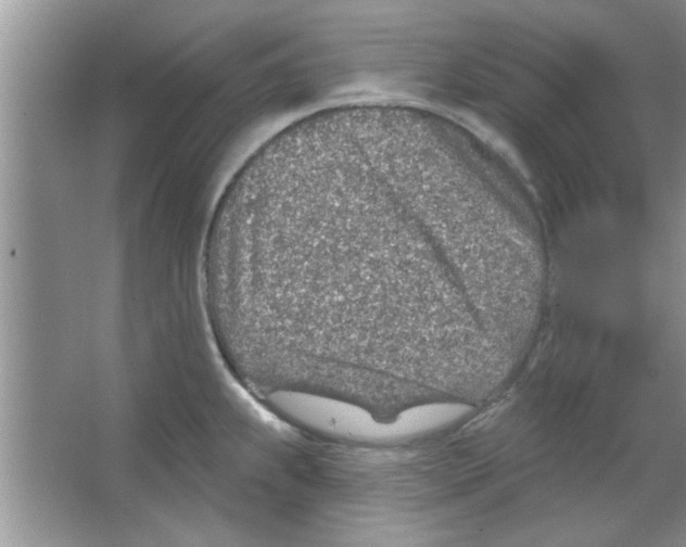 X0000065971239200603311830