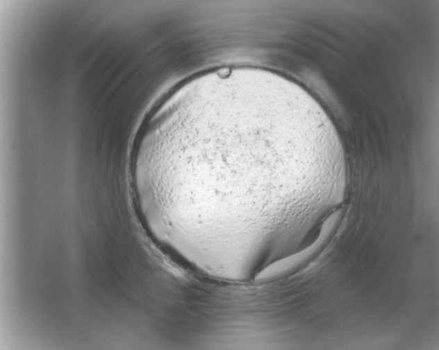 X0000065971240200603311830