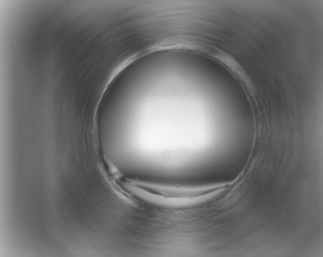 X0000065971242200603311830