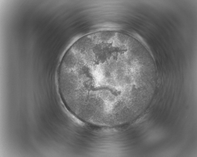 X0000065971243200603311830