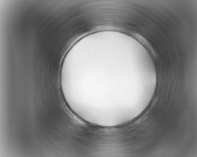 X0000065971244200603311830