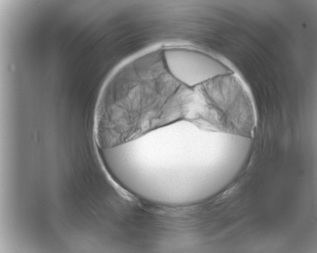 X0000065971245200603311830