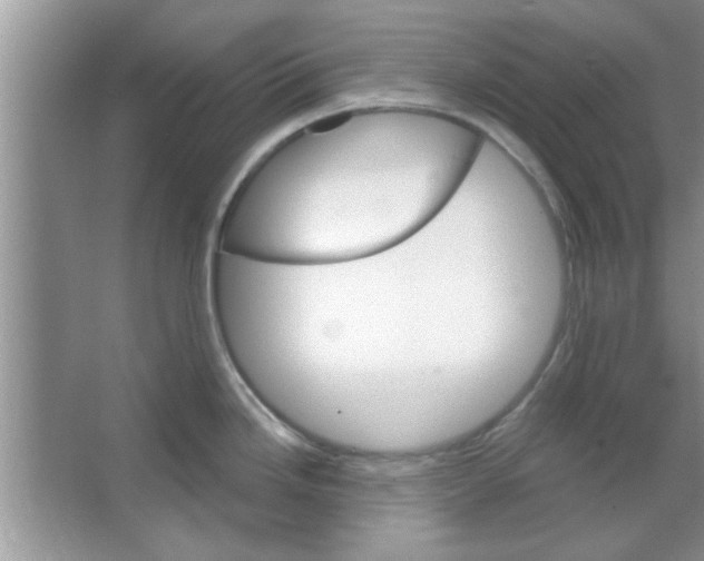 X0000065971246200603311830