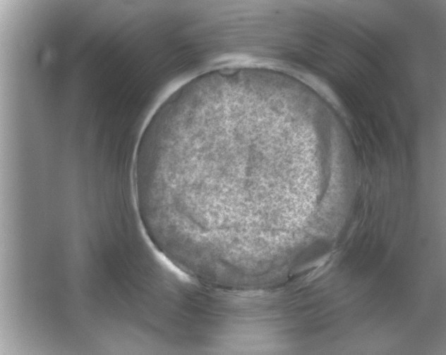 X0000065971247200603311830