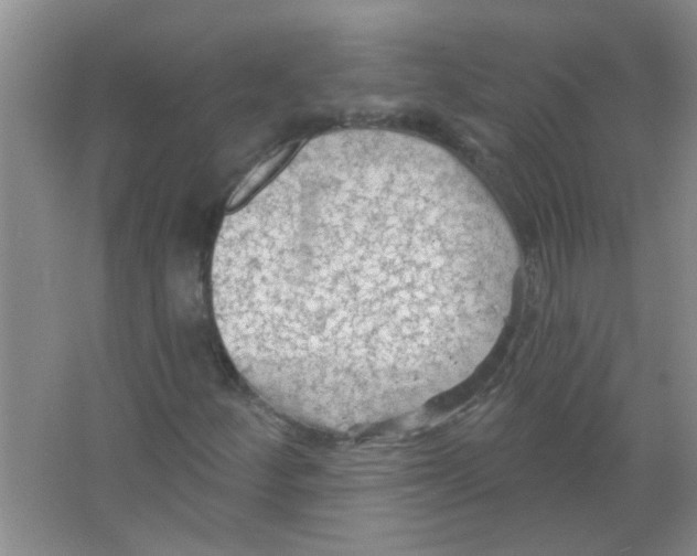 X0000065971252200603311829