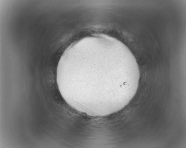 X0000065971253200603311829