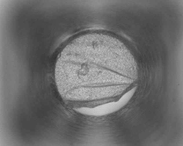 X0000065971255200603311829