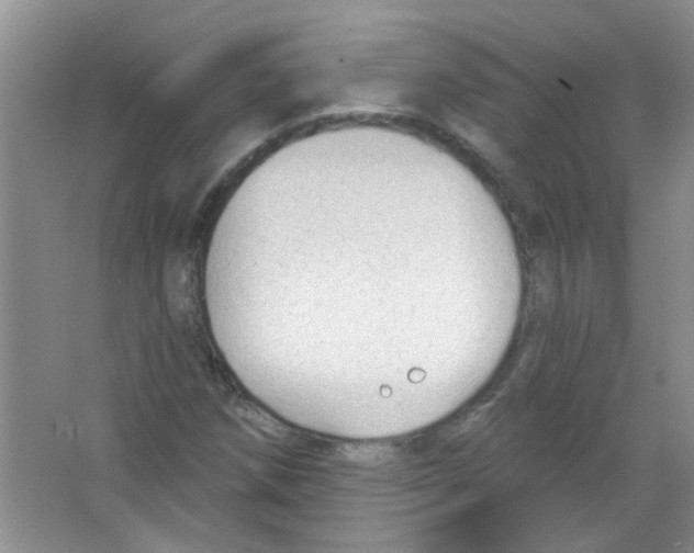 X0000065971258200603311829