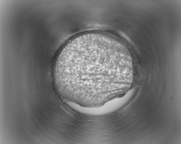 X0000065971259200603311829