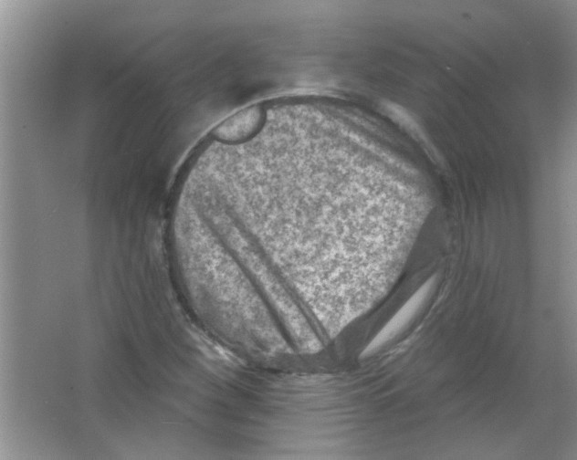 X0000065971260200603311829