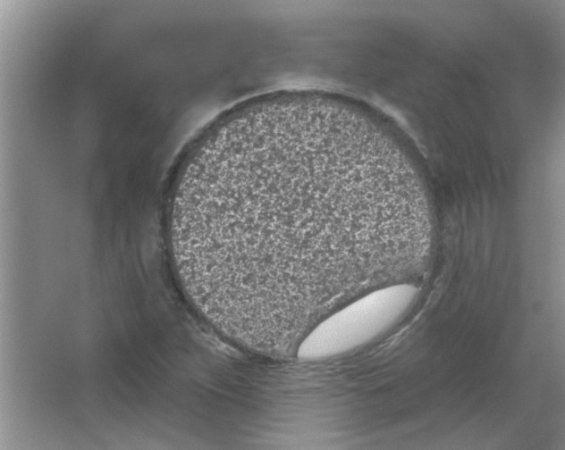 X0000065971263200603311829