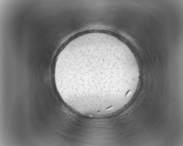 X0000065971264200603311829