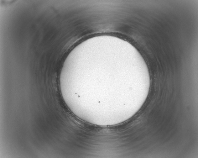 X0000065971265200603311829